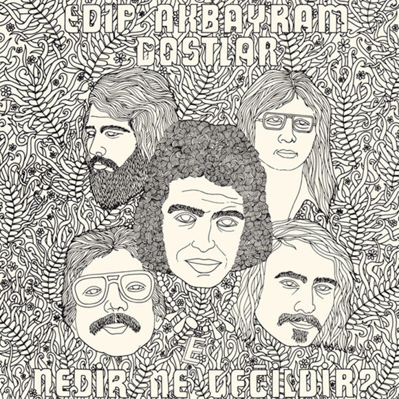 Akbayram Edip & Dostlar- nedir ne degilidr, LP Vinyl, 2015 Pharaway Sounds Records PHS 020,