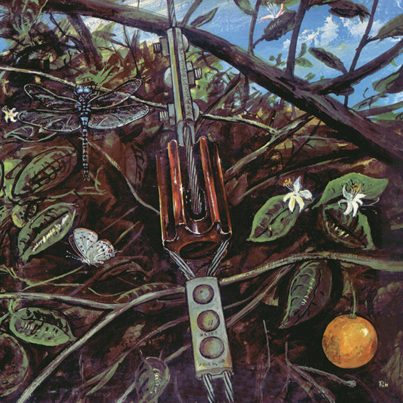 Dragonfly- same, LP Vinyl, 2012 Guerssen Records GUESS 094,