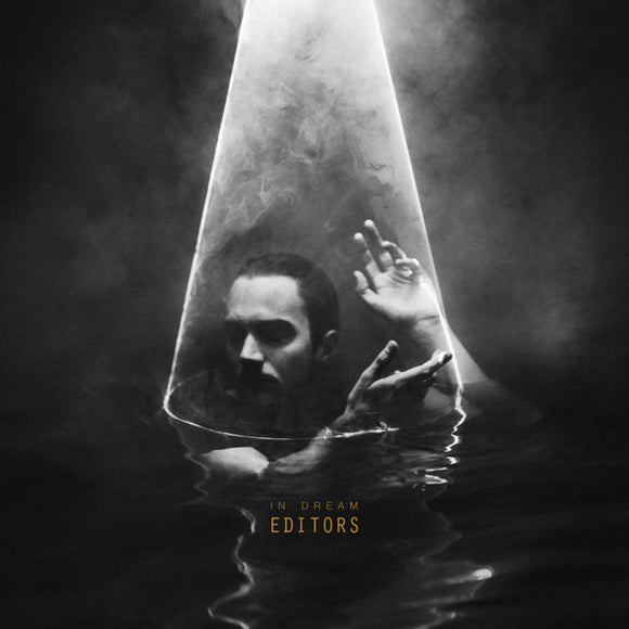 Editors- in dream, LP Vinyl, 2015 Play It Again Sam Records PIAS R 830 LP,