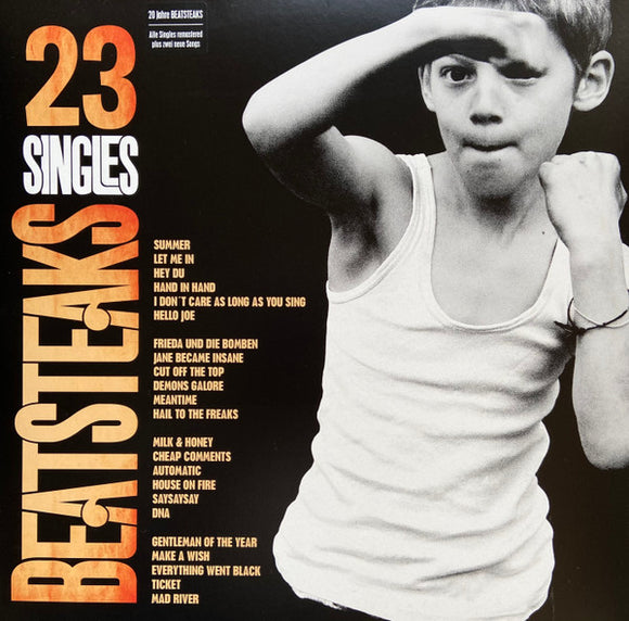 Beatsteaks- 23 singles, LP Vinyl, 2015 Warner Records 67627-1,